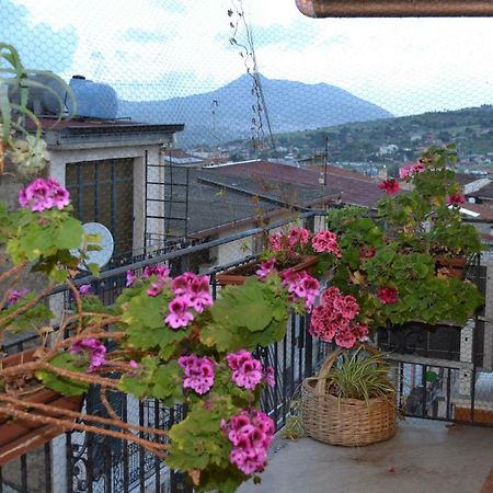 B&B Jolly House Bolognetta Buitenkant foto