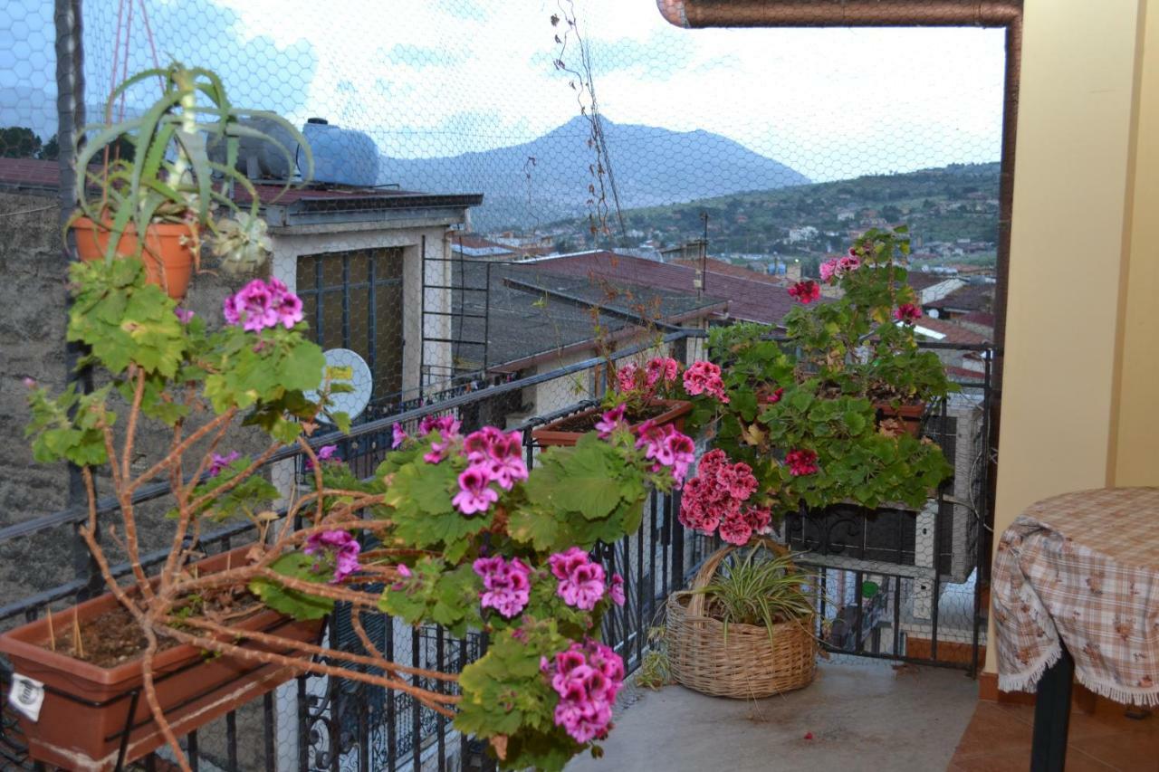 B&B Jolly House Bolognetta Buitenkant foto