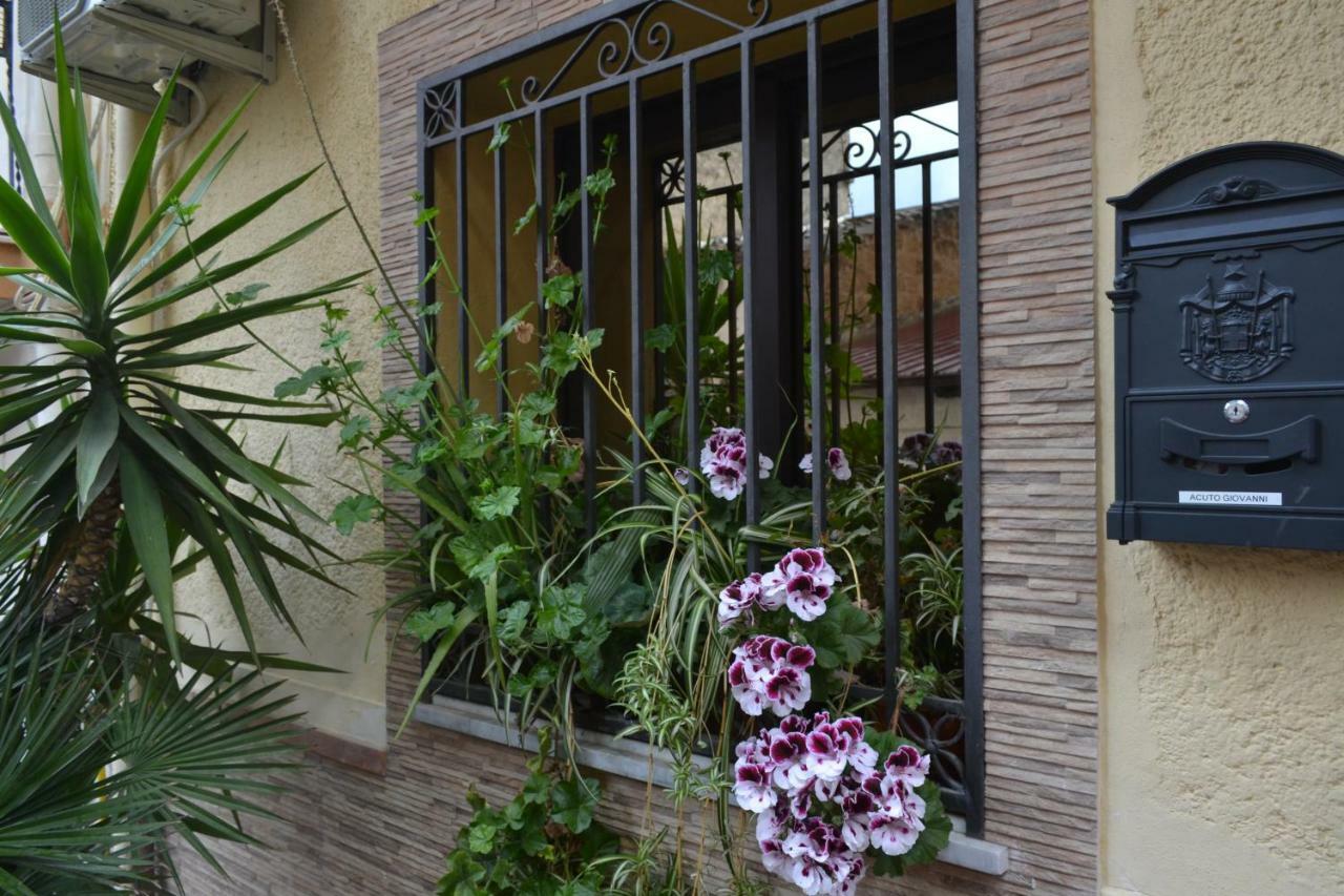 B&B Jolly House Bolognetta Buitenkant foto